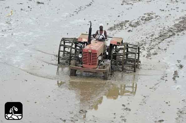 Irrigation pattern in india is useless