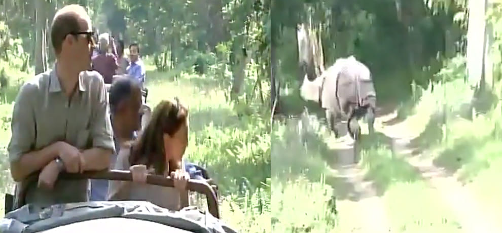 Prince William and Kate Middleton visited Kaziranga National Park in Assam