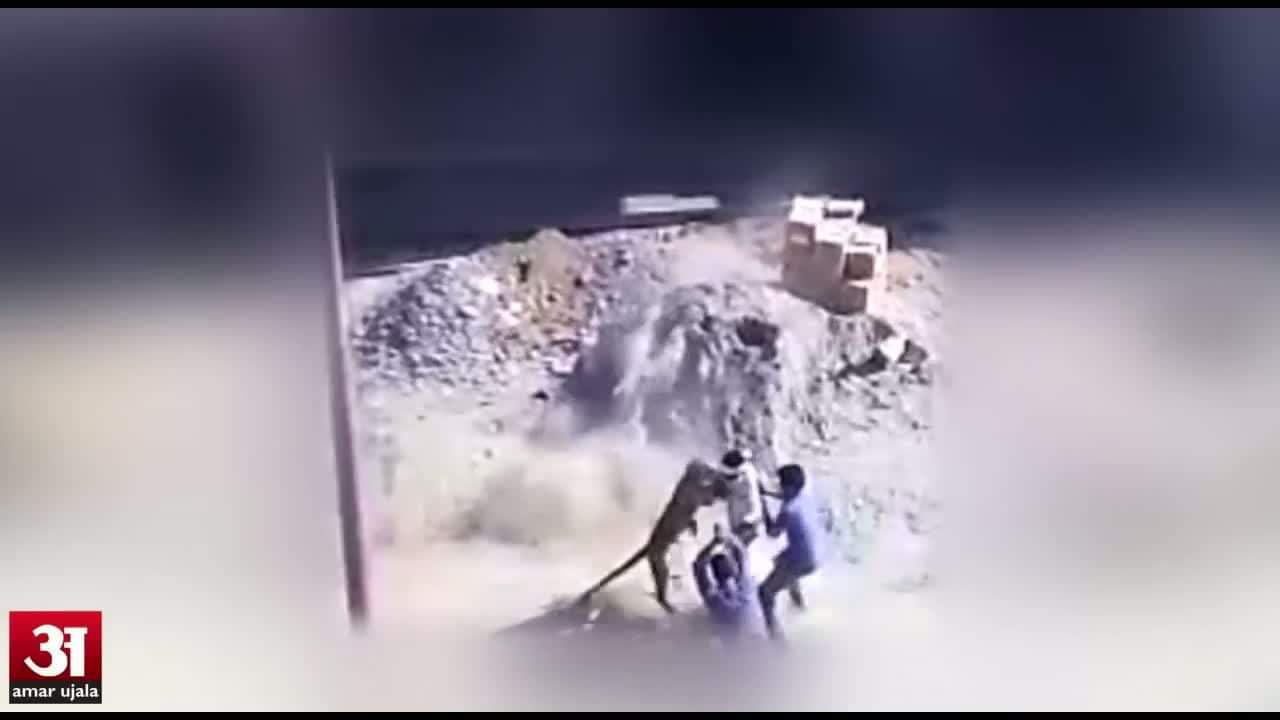 तेंदुए का हमला