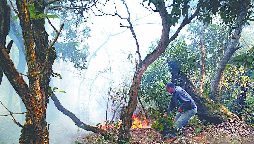 Mayawati and forest fire in Kheda