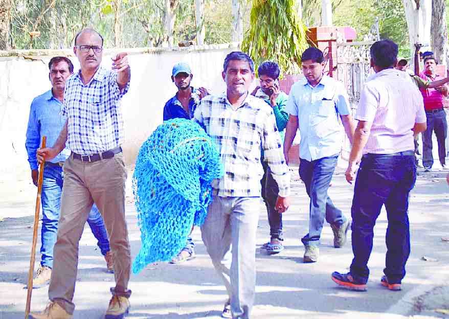Leopard entered the Military Hospital, stirred