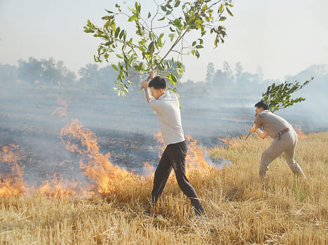 tate Farm fire chaos