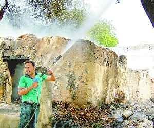 10 home and five acres of crop ash