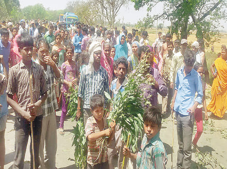 Villagers see the burnt crop, jam
