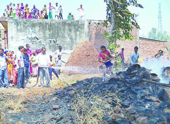 Millions of destroyed forest wealth