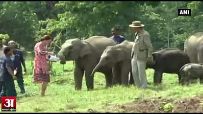 William & Kate feed baby rhinos, elephants during wildlife safari