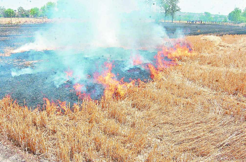 three-acre crop burn, villege singhbhagwantpura