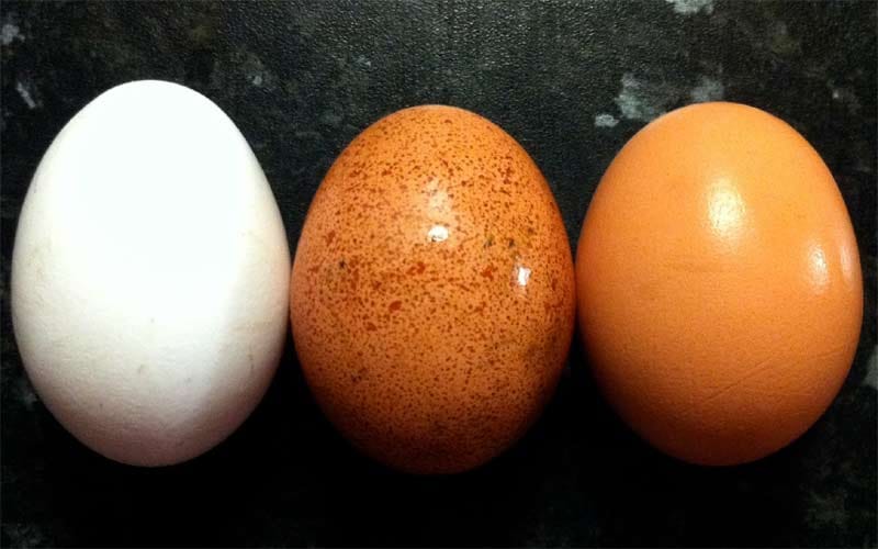 these eight food need to boost fertility
