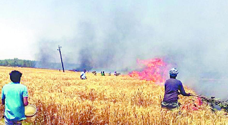 Fire in the fields, farmers' dreams ash