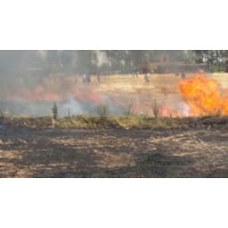 FIRE, WHEAT, CROP, AMBALA, HARYANA, FARMER