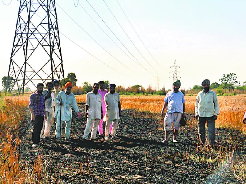 10 acar crop burn, mohali