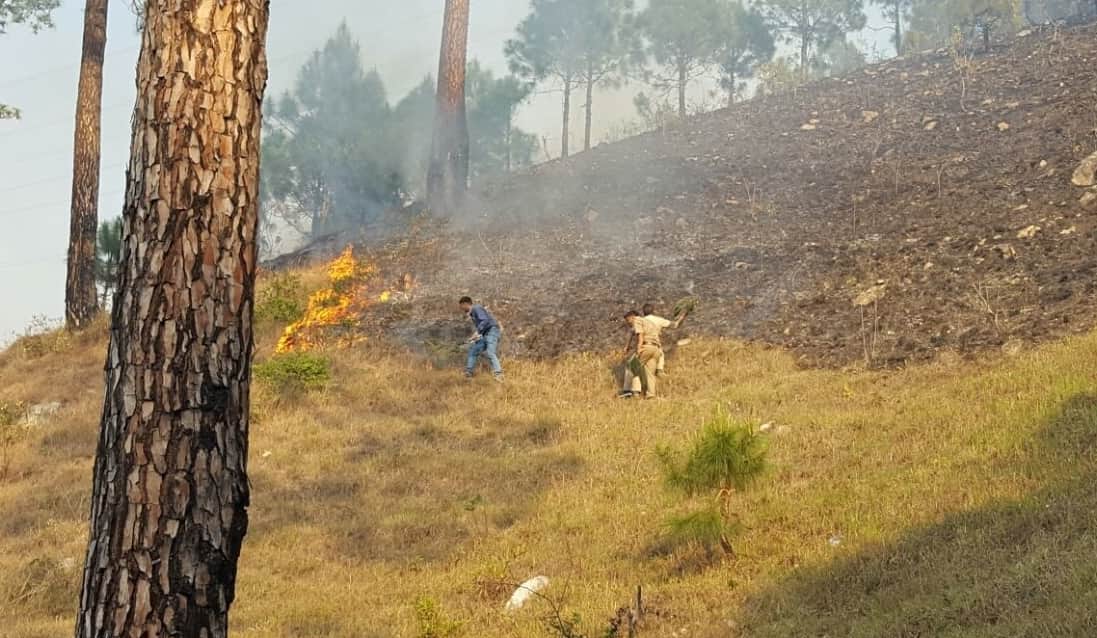 forest and crop caught fire in uttarakhand