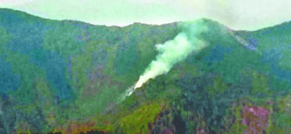 fire in Rudraprayag forest .
