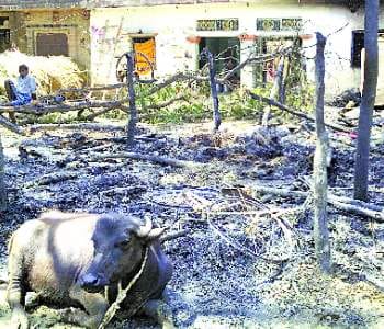 Girl burnt alive in flames, 151 houses destroyed 
