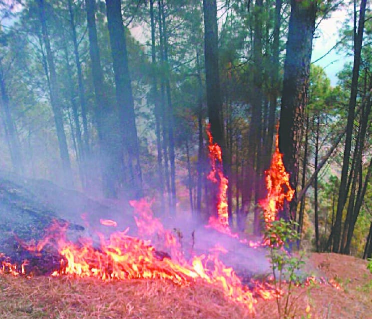Julkande three days in the forest is burned with fire