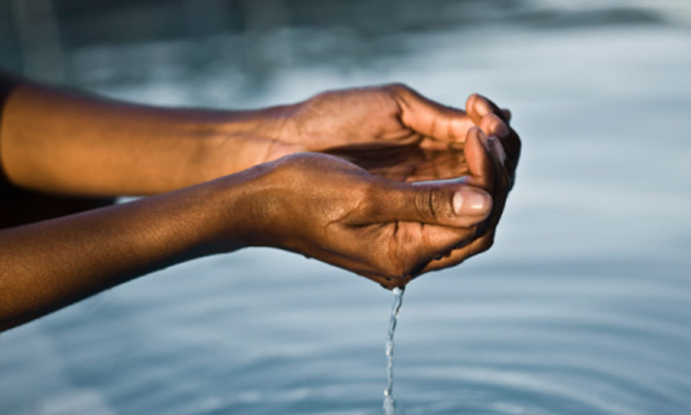 10 easy tips to save water