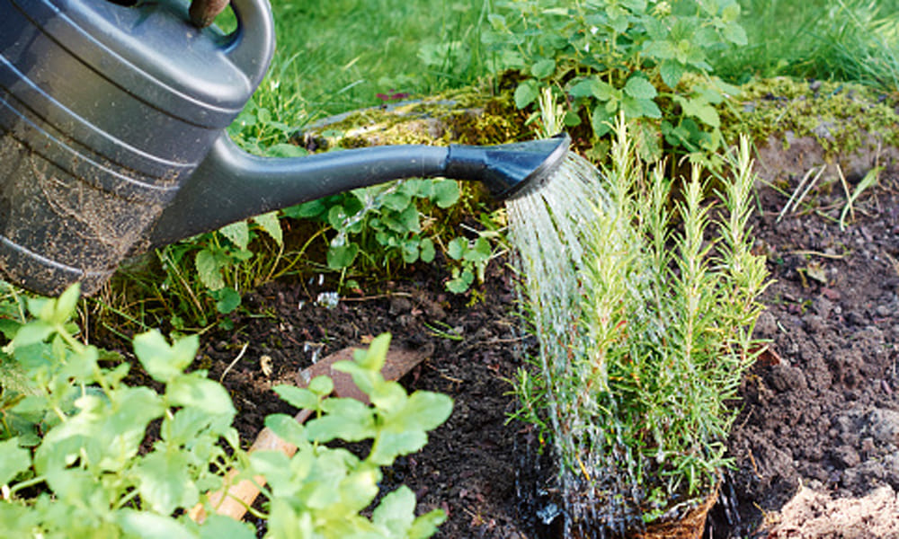 10 easy tips to save water