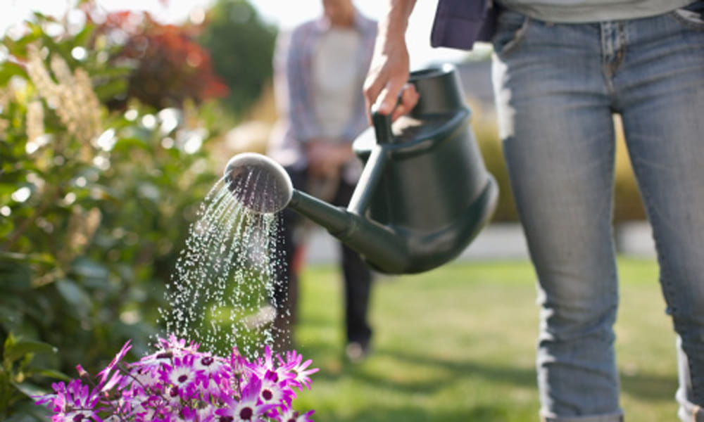 10 easy tips to save water
