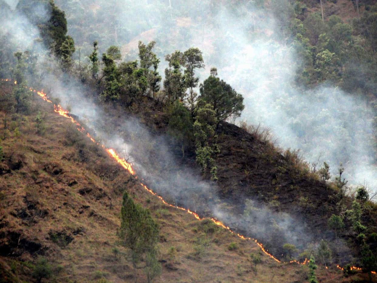 forest and crop caught fire in uttarakhand