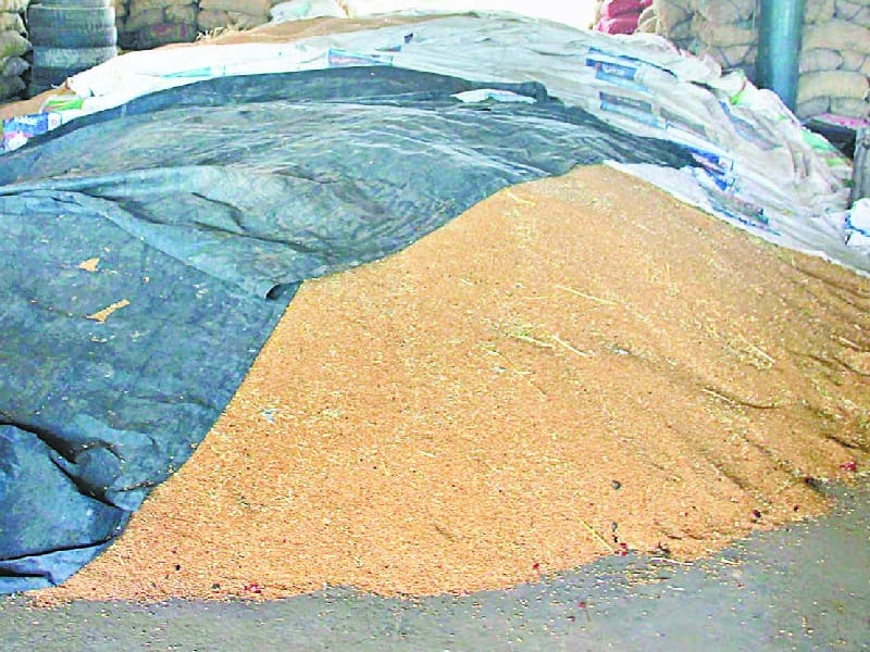 not facilities, facilities low in pathankot mandi, lack of storage, pathankot, amritsar