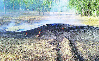 In the shock of crop burning, farmer died