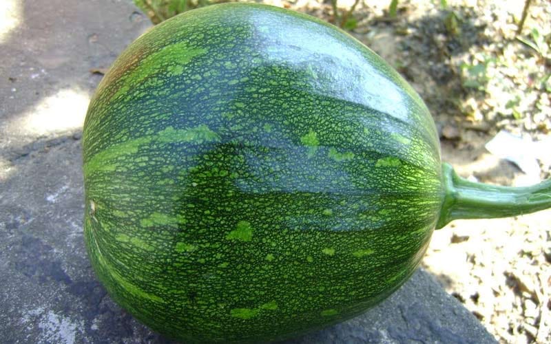 these eight food need to boost fertility