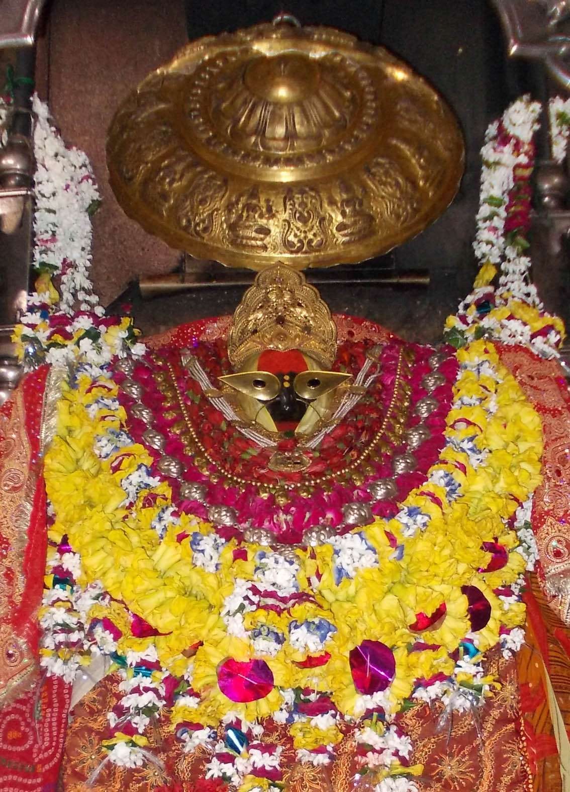 Vindhyachal temple devotees descended