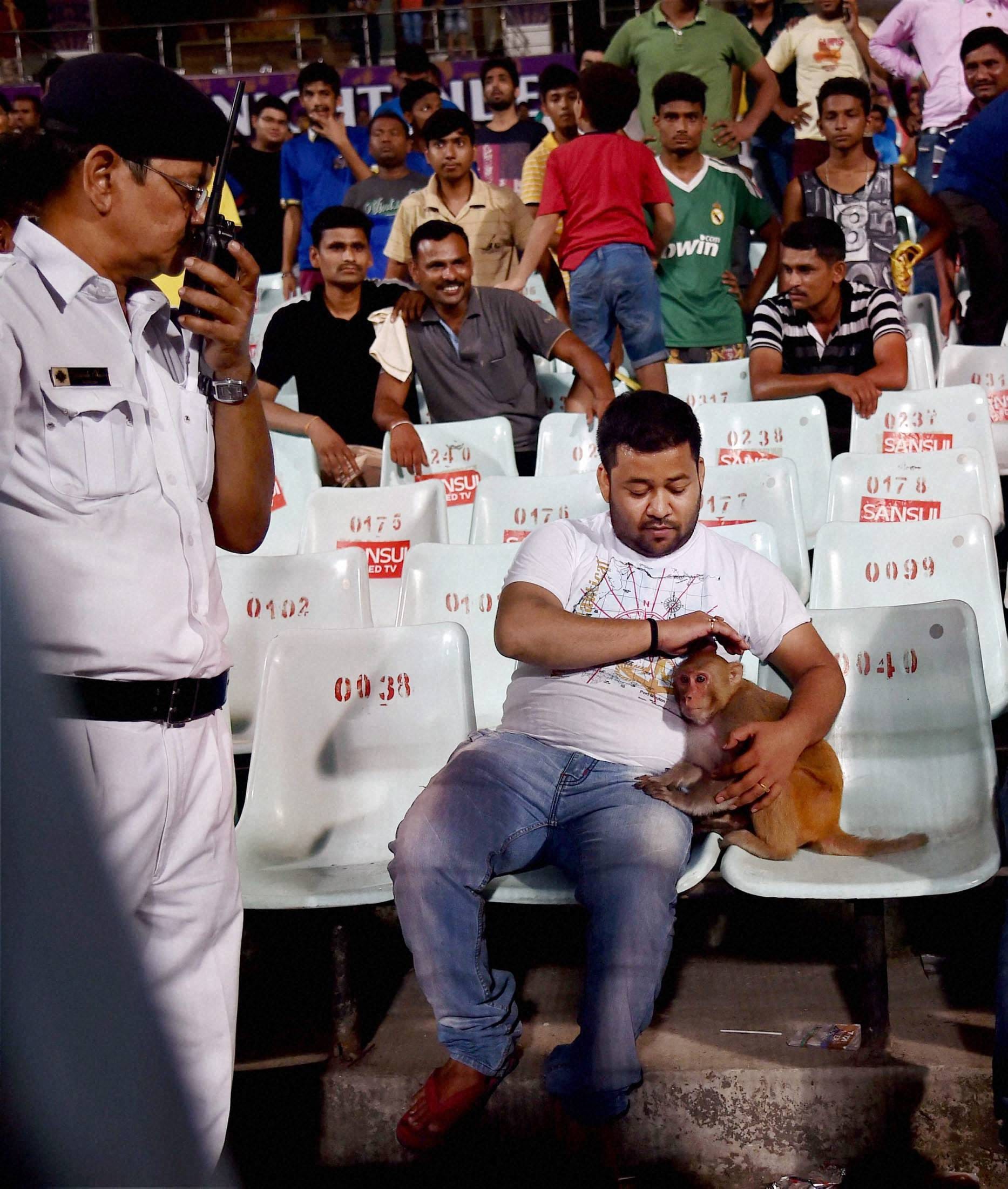 When A monkey suddenly appears in the stand during IPL Match