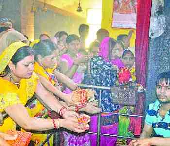 Devotees worship mother Gauri's 