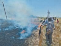 Fire, Fire  in fields, Panipat
