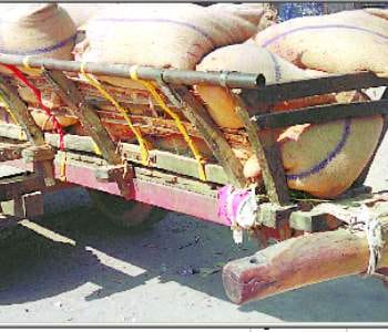Catch quota cereals being taken to market 