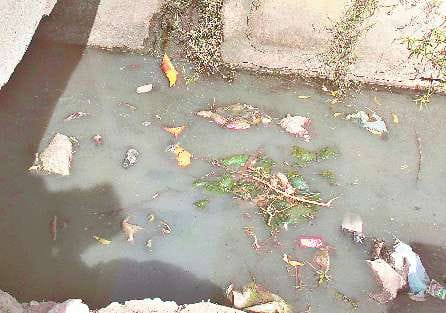 Sirsa News, Hindi News, Health, Dirty Water, Sewer, Water Supply, Sirsa