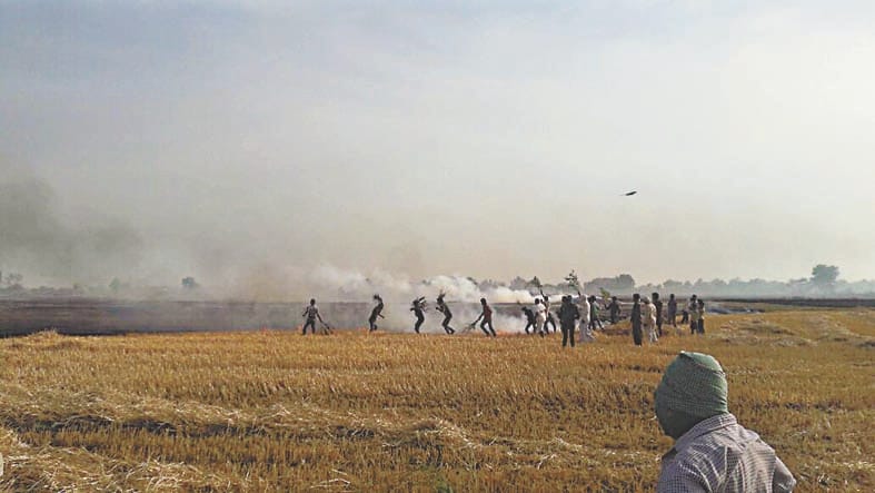 Ashes 200 acres of wheat crop