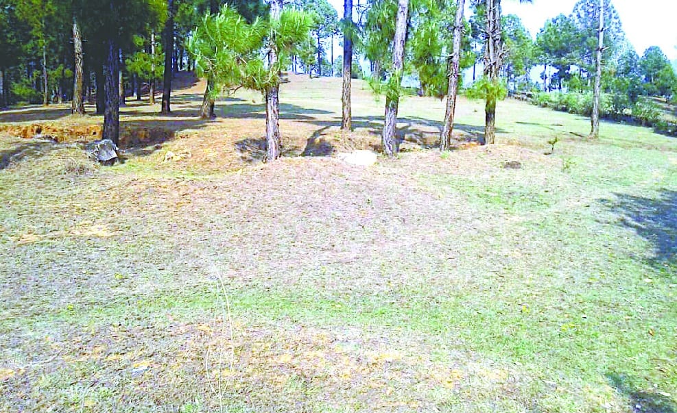 SDRF  center 