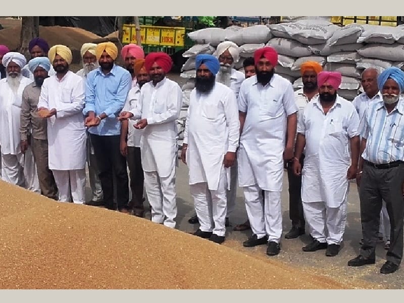  Wheat, pay Fatehgarh Sahib,mla, farmers, Fatehgarh Sahib