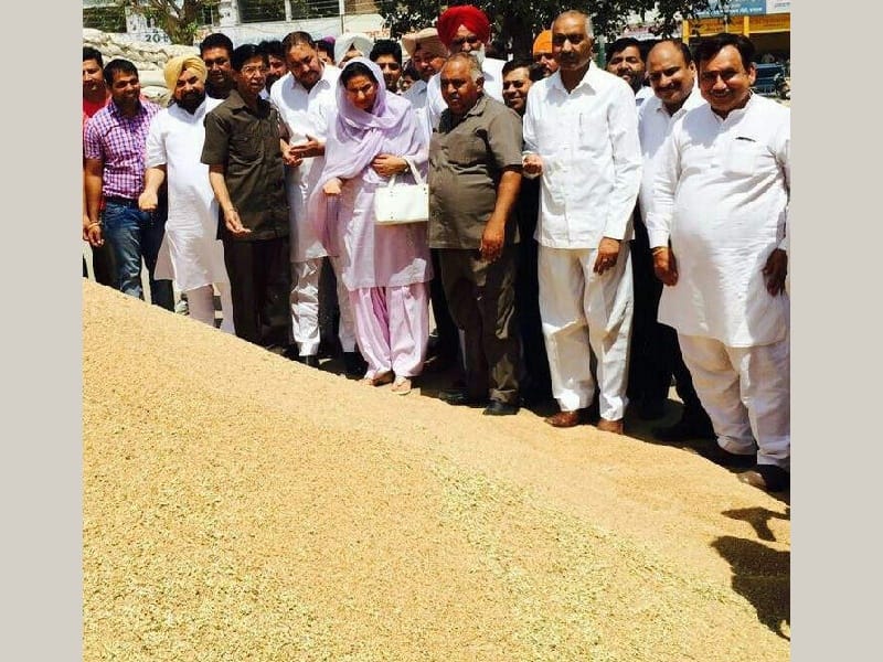 Wheat procurement management, MLA Preneet Kaur, Rajpura, Patiala