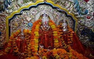  Mahagauri coined , mahagauri , mahagauri