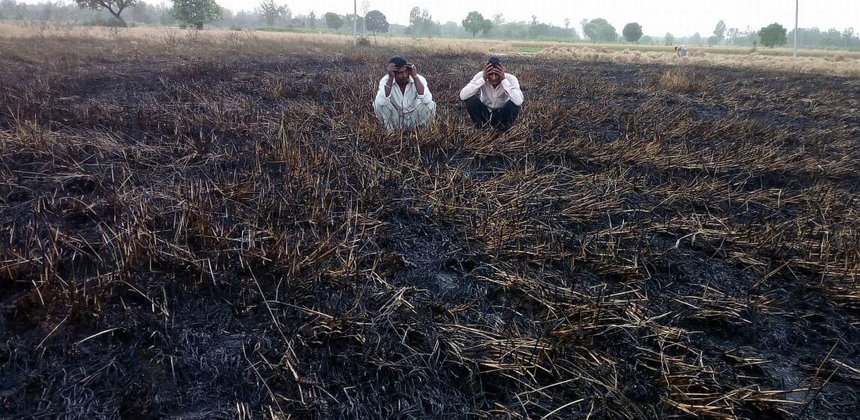 farmers of punjab commit suicide due to heavy debt
