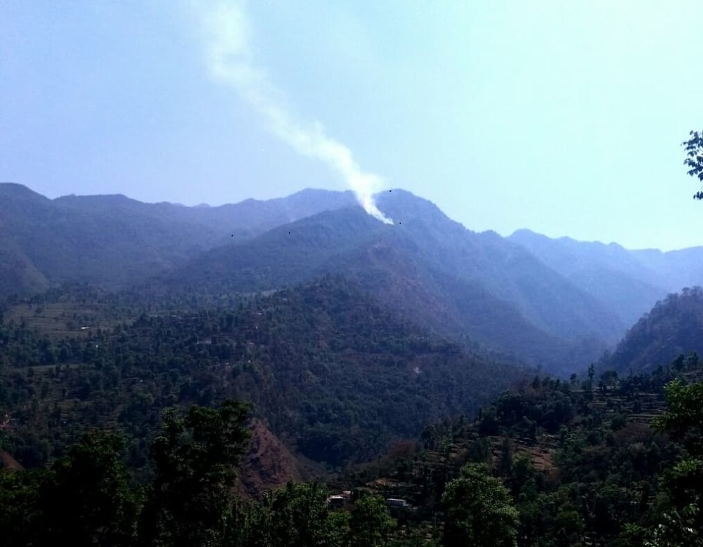 fire in Rudraprayag forest .