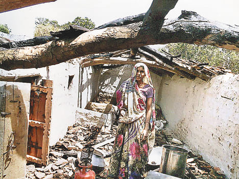 Short circuit farmhouse ash, cattle deaths