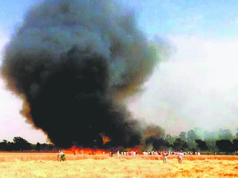 fire, wheat burn in mansa, mansa fire
