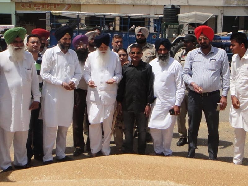 agriculture minister, tota singh, arrangements, procurement of wheat, igrain market, moga