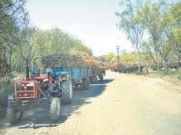 jind news, hindi news,suger meel