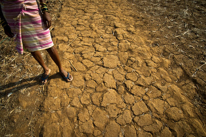 west bengal: 70 well in a village, 65 were dry