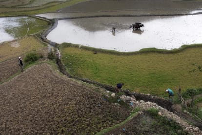 west bengal: 70 well in a village, 65 were dry