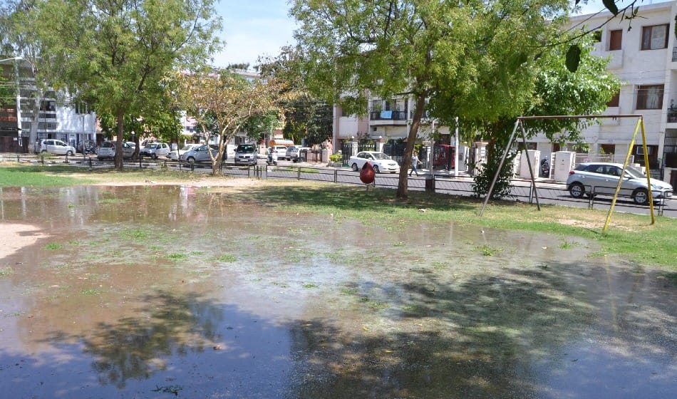 कहीं पीने को नहीं पानी, कहीं बह रहा व्यर्थ