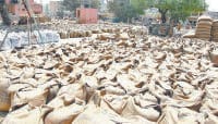 Wheat, Mandi, Kaithal, Haryana