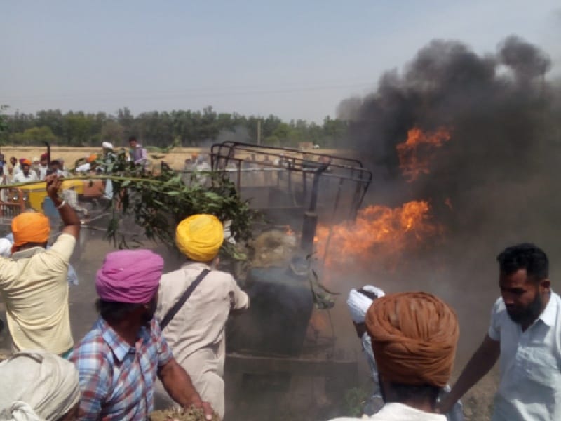 Wheat crops burnt, Sangrur, tractor trolley burnt, farmers, Sangrur