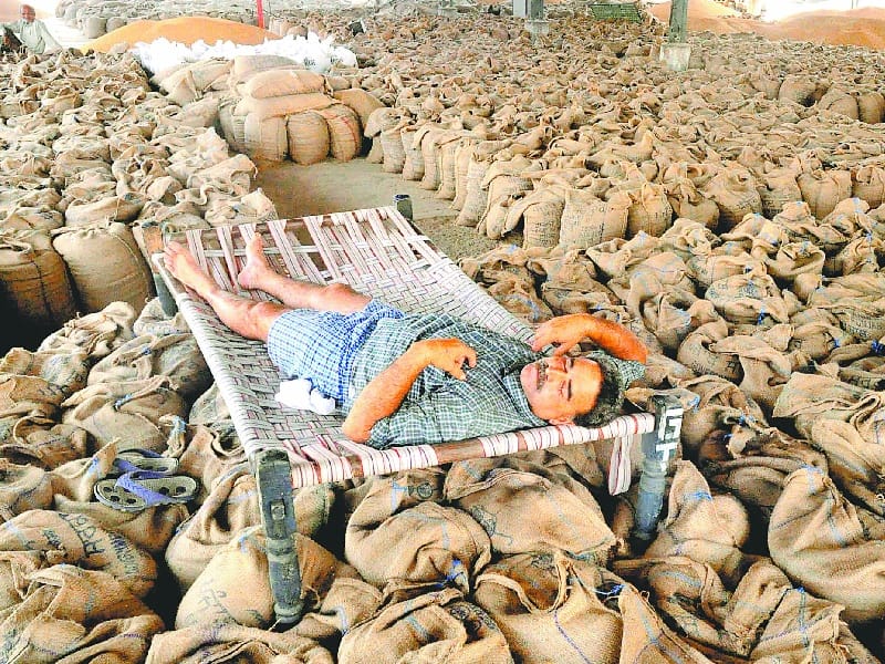 payment, farmers payment in bhatinda, bhatinda payment