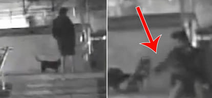 depressed engineer used to kill dogs in delhi arrested in lucknow